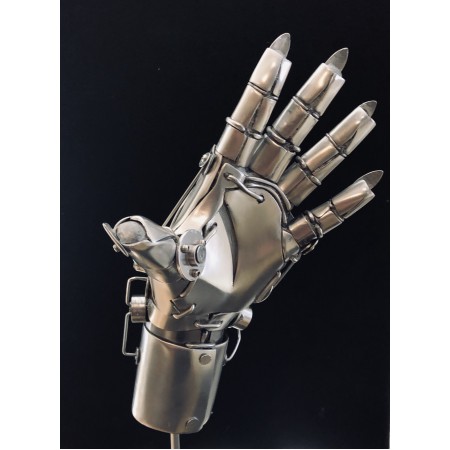 Fem Bot Hand                   US$30,000
